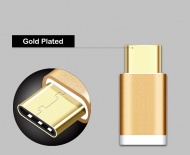 Converter: Micro USB Plug to USB 3.1 Type C