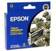 Epson T0541 Photo Black for Epson R800